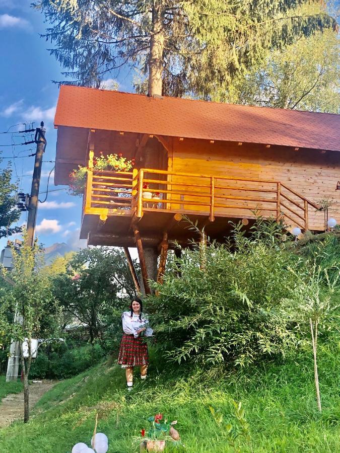 Domeniul Horj Casa Din Deal 莫伊塞 外观 照片