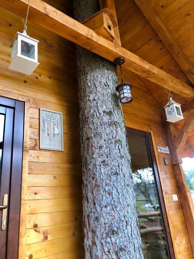 Domeniul Horj Casa Din Deal 莫伊塞 外观 照片