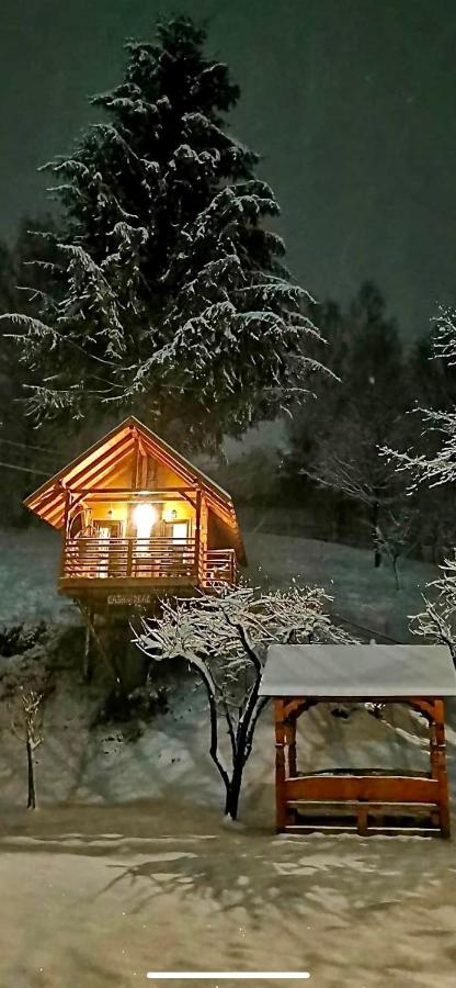 Domeniul Horj Casa Din Deal 莫伊塞 外观 照片